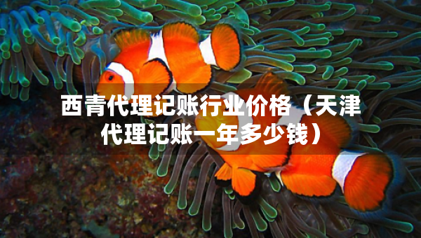 西青代理記賬行業(yè)價格（天津代理記賬一年多少錢）