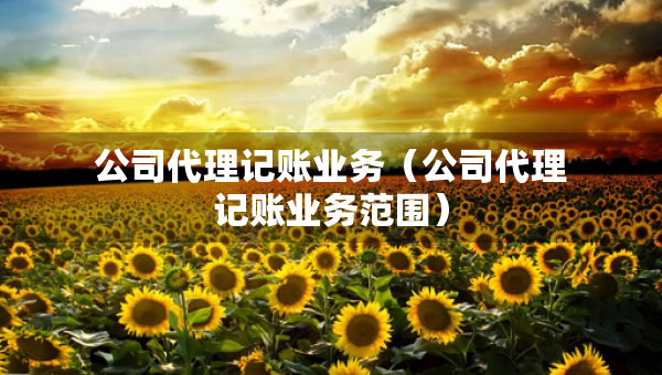 公司代理記賬業(yè)務(wù)（公司代理記賬業(yè)務(wù)范圍）