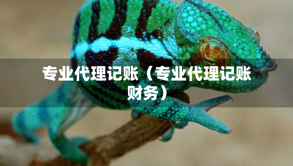 專業(yè)代理記賬（專業(yè)代理記賬財(cái)務(wù)）