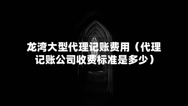 龍灣大型代理記賬費(fèi)用（代理記賬公司收費(fèi)標(biāo)準(zhǔn)是多少）