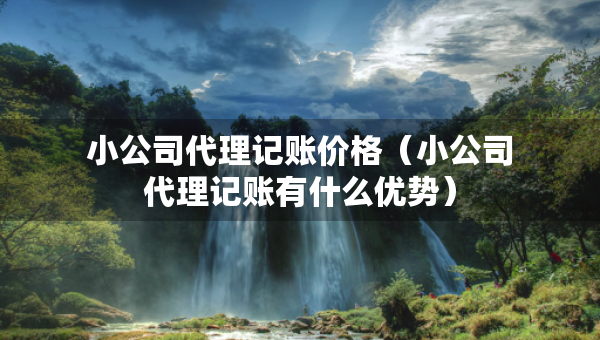 小公司代理記賬價格（小公司代理記賬有什么優(yōu)勢）
