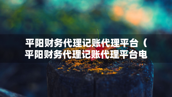 平陽(yáng)財(cái)務(wù)代理記賬代理平臺(tái)（平陽(yáng)財(cái)務(wù)代理記賬代理平臺(tái)電話）