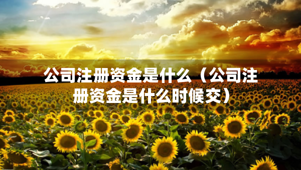 公司注冊資金是什么（公司注冊資金是什么時候交）