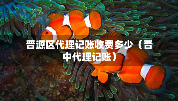 晉源區(qū)代理記賬收費(fèi)多少（晉中代理記賬）