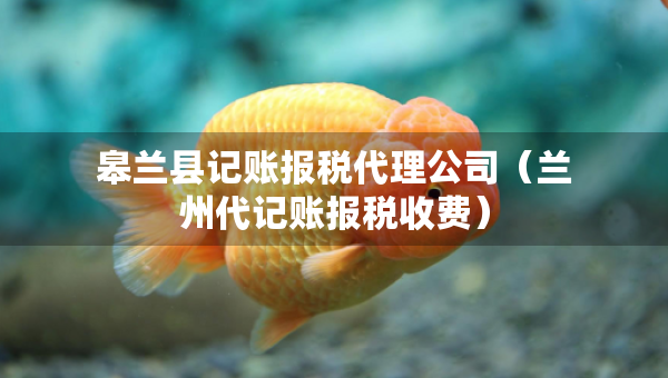 皋蘭縣記賬報(bào)稅代理公司（蘭州代記賬報(bào)稅收費(fèi)）