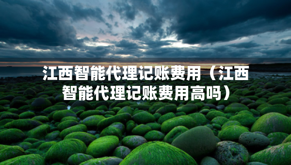 江西智能代理記賬費(fèi)用（江西智能代理記賬費(fèi)用高嗎）