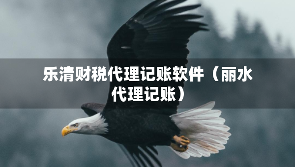 樂(lè)清財(cái)稅代理記賬軟件(麗水代理記賬) 樂(lè)清財(cái)稅代理記賬軟件(麗水代理記賬)