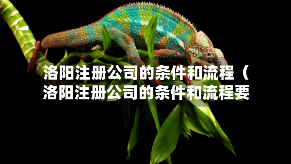 洛陽(yáng)注冊(cè)公司的條件和流程（洛陽(yáng)注冊(cè)公司的條件和流程要求）