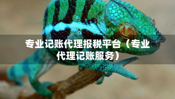 專業(yè)記賬代理報(bào)稅平臺(tái)（專業(yè)代理記賬服務(wù)）
