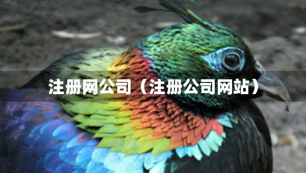 注冊網(wǎng)公司（注冊公司網(wǎng)站）