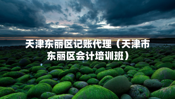 天津東麗區(qū)記賬代理（天津市東麗區(qū)會(huì)計(jì)培訓(xùn)班）
