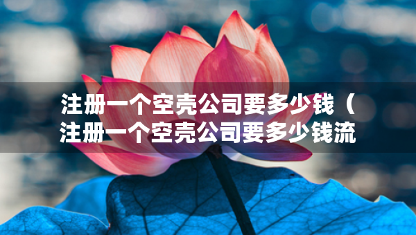 注冊(cè)一個(gè)空殼公司要多少錢(注冊(cè)一個(gè)空殼公司要多少錢流程及費(fèi)用) 注冊(cè)一個(gè)空殼公司要多少錢(注冊(cè)一個(gè)空殼公司要多少錢流程及費(fèi)用)