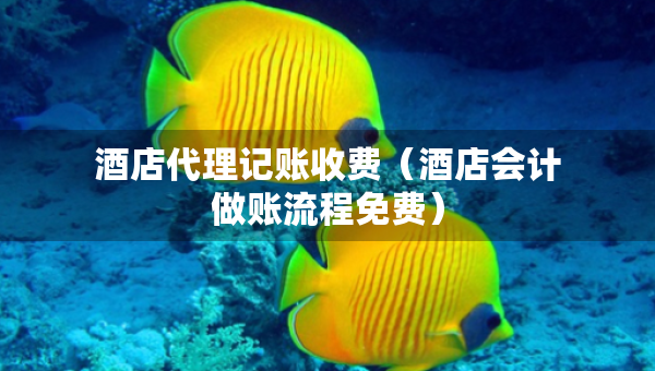 酒店代理記賬收費(fèi)（酒店會(huì)計(jì)做賬流程免費(fèi)）