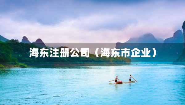 海東注冊公司（海東市企業(yè)）