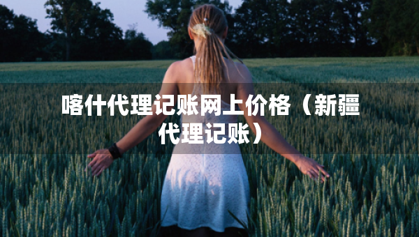 喀什代理記賬網(wǎng)上價(jià)格(新疆代理記賬) 喀什代理記賬網(wǎng)上價(jià)格(新疆代理記賬)