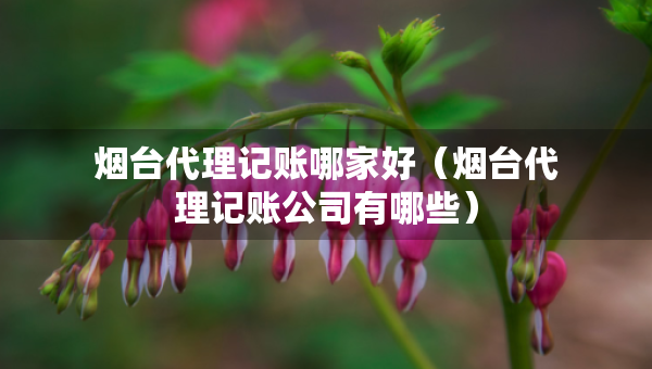 煙臺(tái)代理記賬哪家好（煙臺(tái)代理記賬公司有哪些）