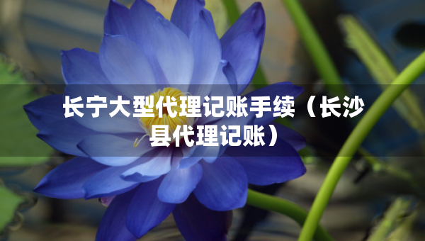 長寧大型代理記賬手續(xù)（長沙縣代理記賬）