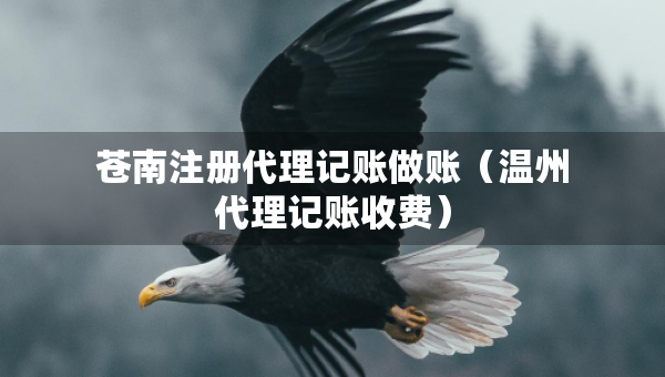 蒼南注冊代理記賬做賬（溫州代理記賬收費(fèi)）