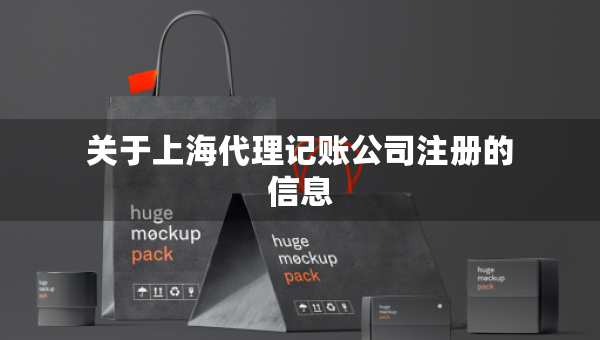 關(guān)于上海代理記賬公司注冊的信息