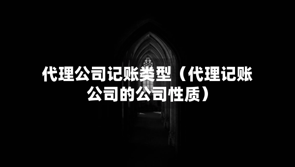 代理公司記賬類型（代理記賬公司的公司性質(zhì)）