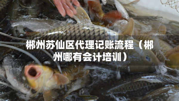 郴州蘇仙區(qū)代理記賬流程（郴州哪有會計培訓(xùn)）