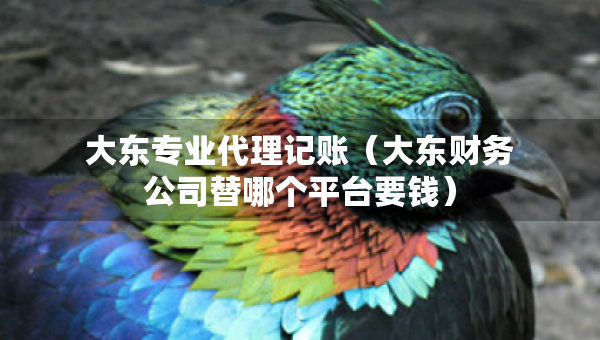 大東專業(yè)代理記賬（大東財務(wù)公司替哪個平臺要錢）