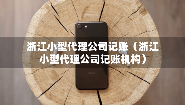 浙江小型代理公司記賬（浙江小型代理公司記賬機構(gòu)）