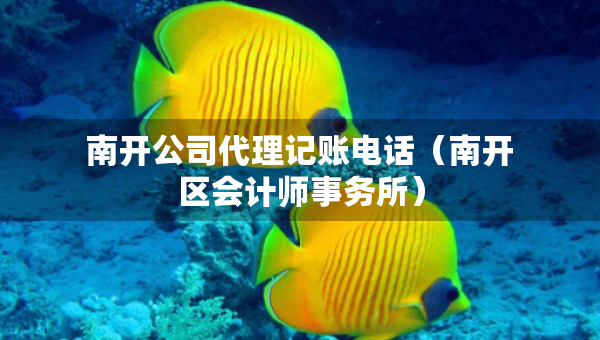 南開公司代理記賬電話（南開區(qū)會(huì)計(jì)師事務(wù)所）
