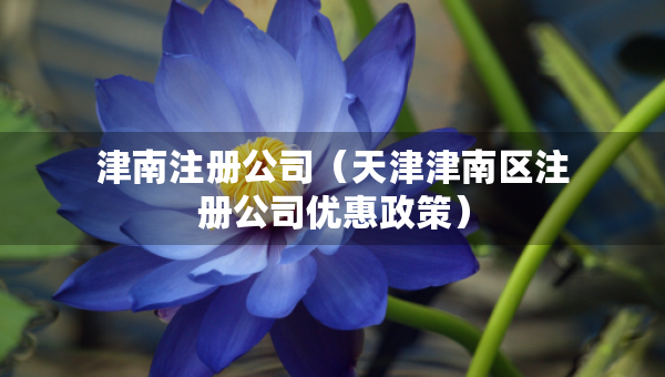 津南注冊公司（天津津南區(qū)注冊公司優(yōu)惠政策）