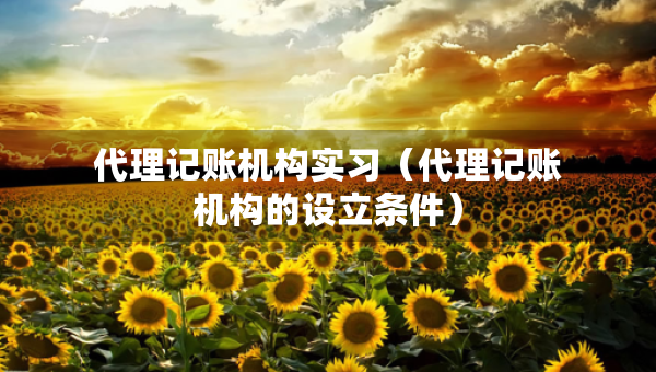 代理記賬機構(gòu)實習（代理記賬機構(gòu)的設(shè)立條件）