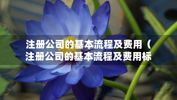 注冊(cè)公司的基本流程及費(fèi)用（注冊(cè)公司的基本流程及費(fèi)用標(biāo)準(zhǔn)）
