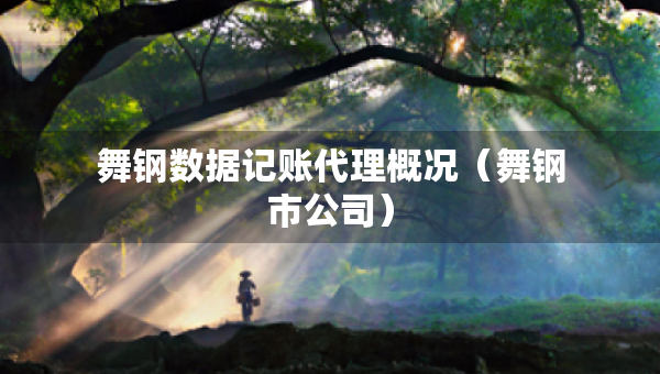 舞鋼數(shù)據(jù)記賬代理概況（舞鋼市公司）