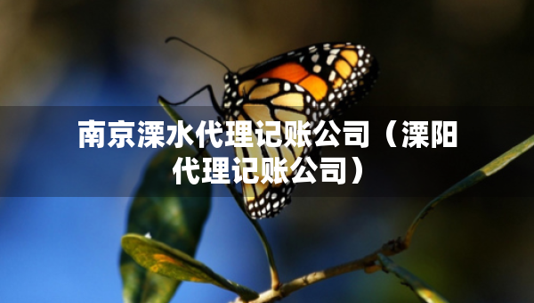 南京溧水代理記賬公司(溧陽代理記賬公司) 南京溧水代理記賬公司(溧陽代理記賬公司)
