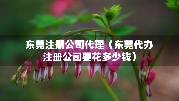 東莞注冊公司代理（東莞代辦注冊公司要花多少錢）