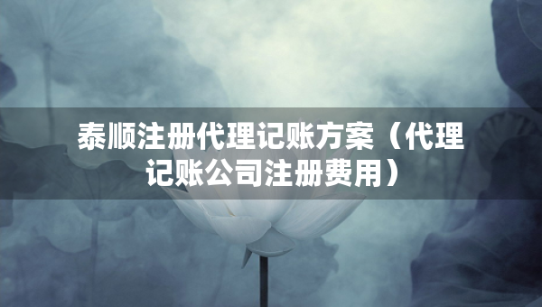 泰順注冊代理記賬方案（代理記賬公司注冊費用）