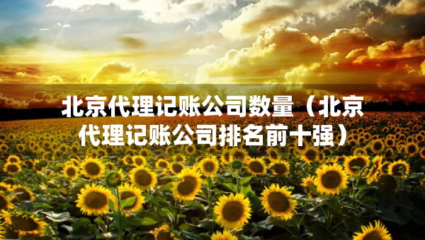 北京代理記賬公司數(shù)量(北京代理記賬公司排名前十強(qiáng)) 北京代理記賬公司數(shù)量(北京代理記賬公司排名前十強(qiáng))