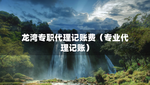 龍灣專職代理記賬費(fèi)（專業(yè)代理記賬）