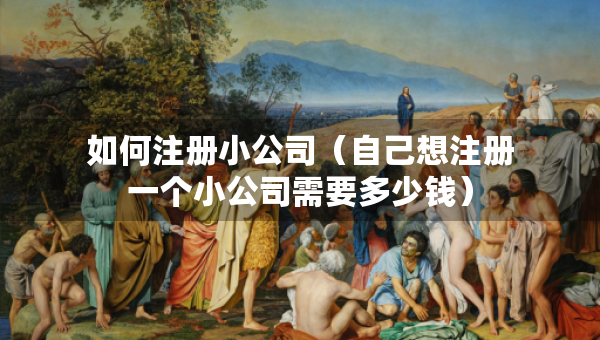 如何注冊(cè)小公司（自己想注冊(cè)一個(gè)小公司需要多少錢）