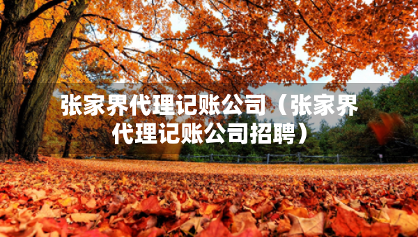張家界代理記賬公司（張家界代理記賬公司招聘）