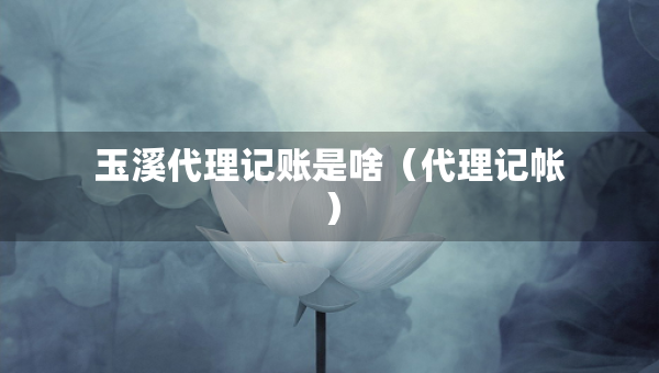 玉溪代理記賬是啥（代理記帳）