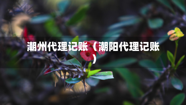潮州代理記賬（潮陽(yáng)代理記賬）