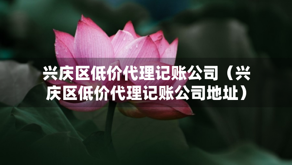 興慶區(qū)低價(jià)代理記賬公司（興慶區(qū)低價(jià)代理記賬公司地址）