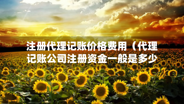 注冊(cè)代理記賬價(jià)格費(fèi)用（代理記賬公司注冊(cè)資金一般是多少）