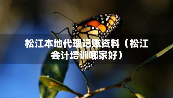 松江本地代理記賬資料（松江會計培訓哪家好）