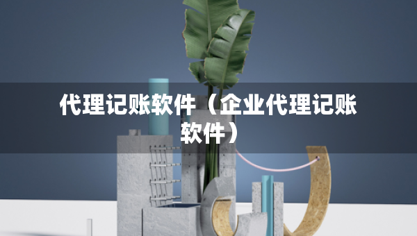 代理記賬軟件（企業(yè)代理記賬軟件）
