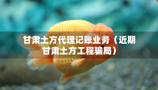 甘肅土方代理記賬業(yè)務(wù)（近期甘肅土方工程騙局）