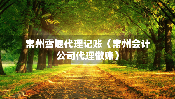 常州雪堰代理記賬（常州會計公司代理做賬）