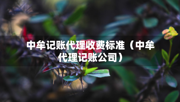 中牟記賬代理收費標準（中牟代理記賬公司）