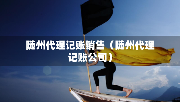 隨州代理記賬銷售（隨州代理記賬公司）