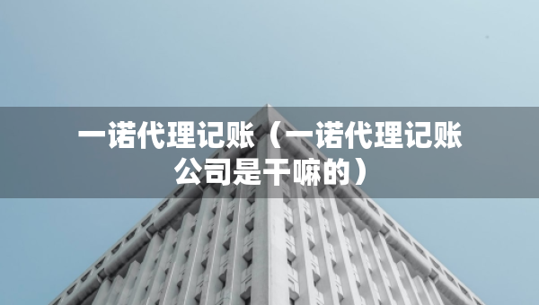 一諾代理記賬（一諾代理記賬公司是干嘛的）